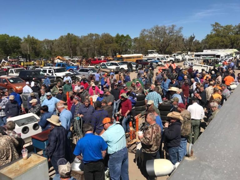 Our History Weeks Auction Company Florida